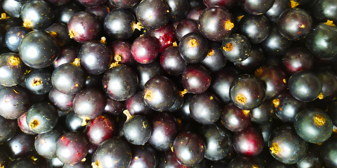 Густой джем из черной смородины ложка стоит!