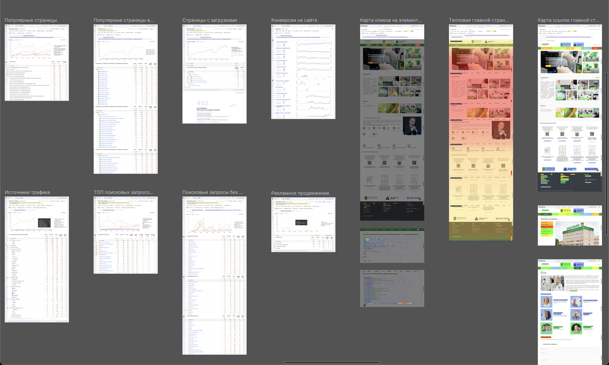 Кейс «Эндофарм»: Часть предпроектной веб-аналитики текущего сайта для выявления точек роста и пользовательских сценариев для последующего редизайна.