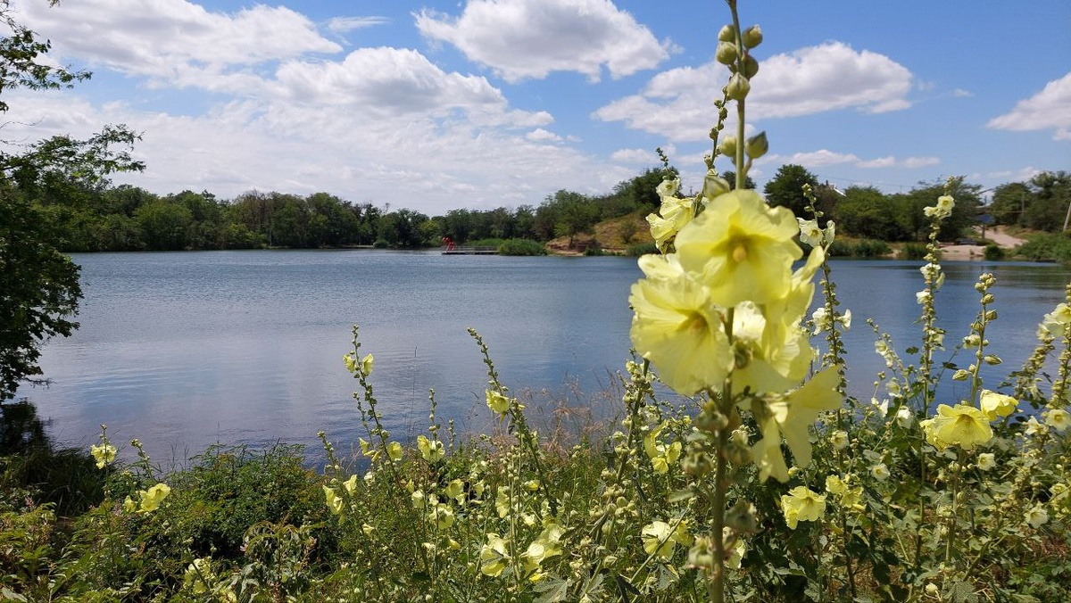 На озере тишина и красота.