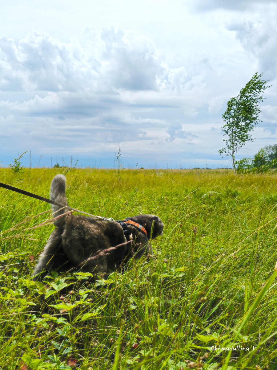 Я устала, я ухожу.