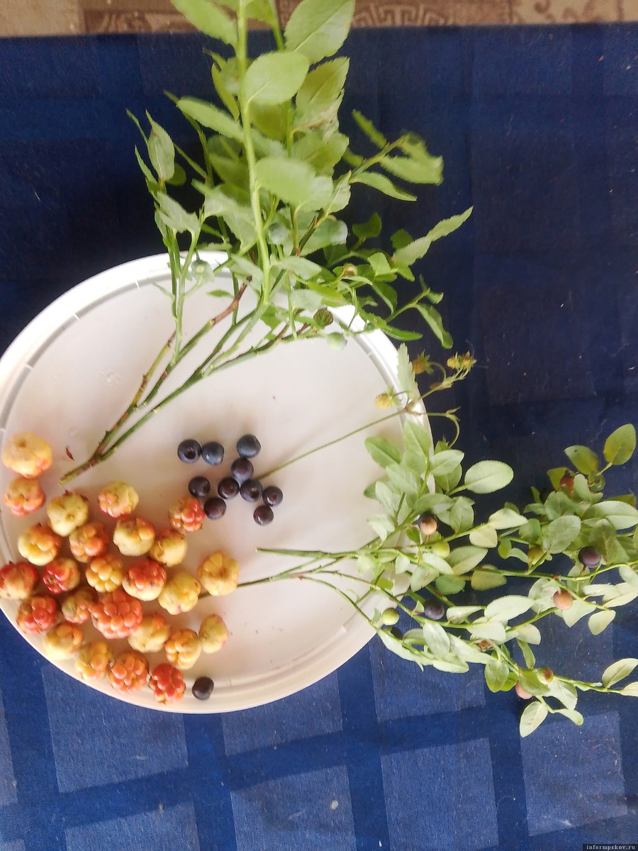 Лето в моменте. Фото: Елена Вискова (Фролова)