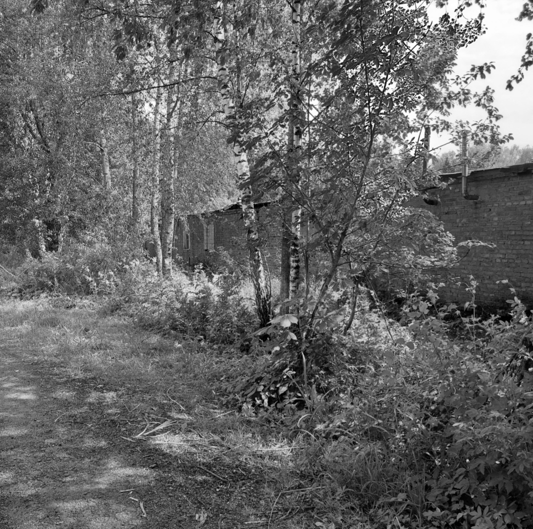 Фото из личного архива.