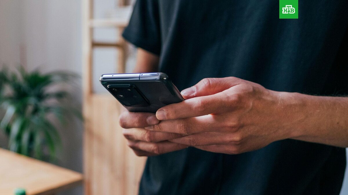    Фото: Jonas Leupe / unsplash.com