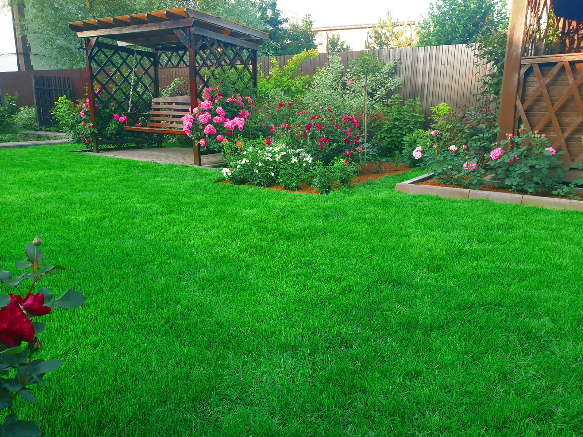 Газону на фото месяц. Фото после первого покоса.