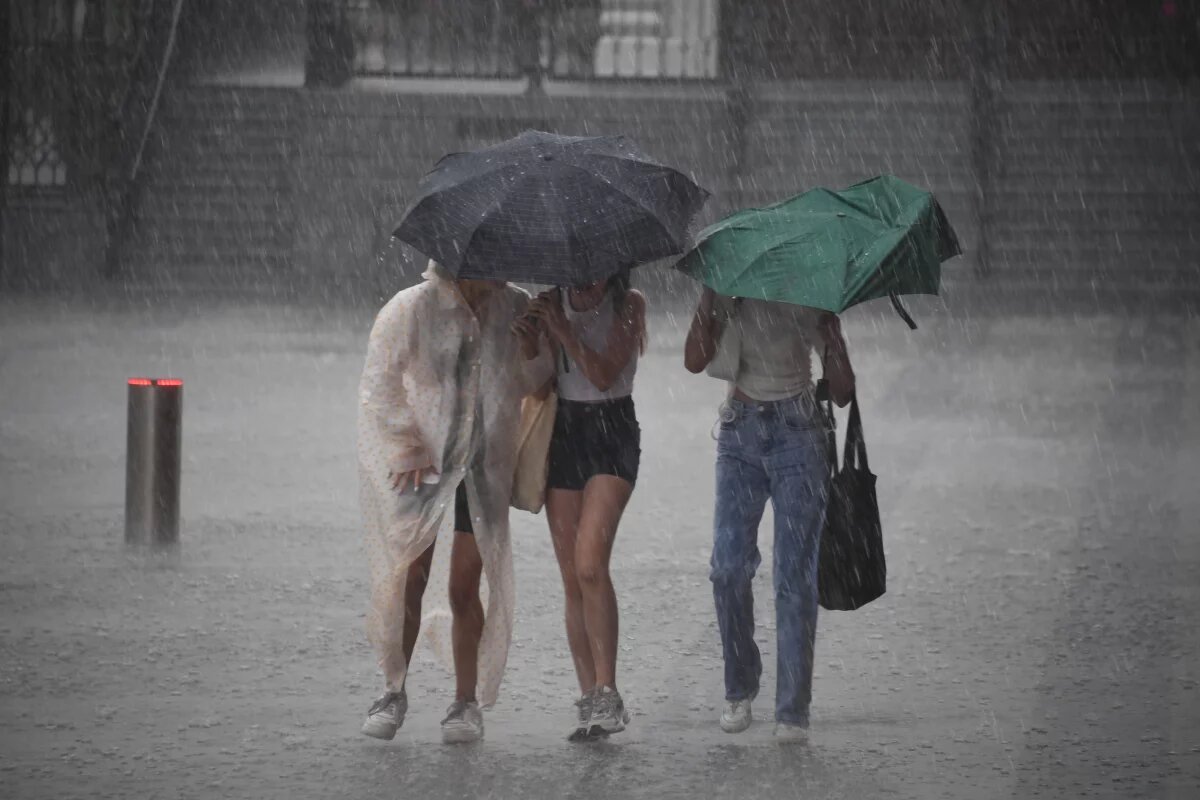    В Тюменскую область возвращаются ливни и грозы