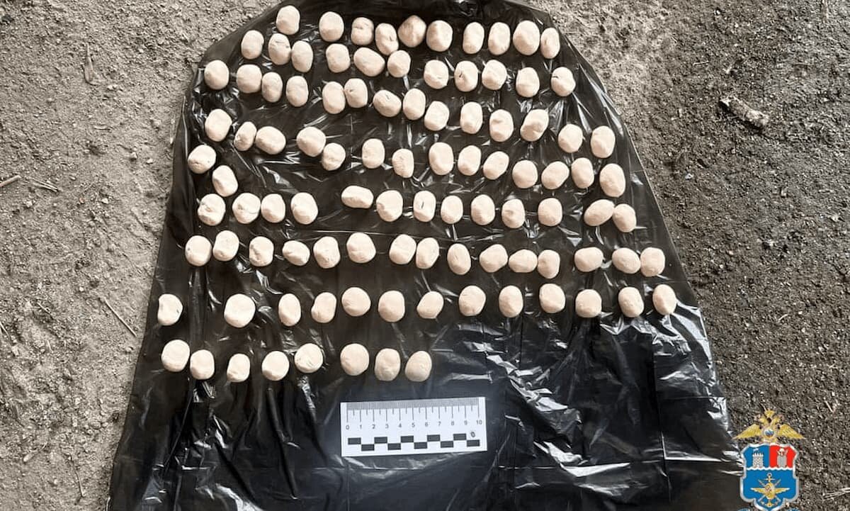    Фото пресс-службы УТ МВД России по СКФО