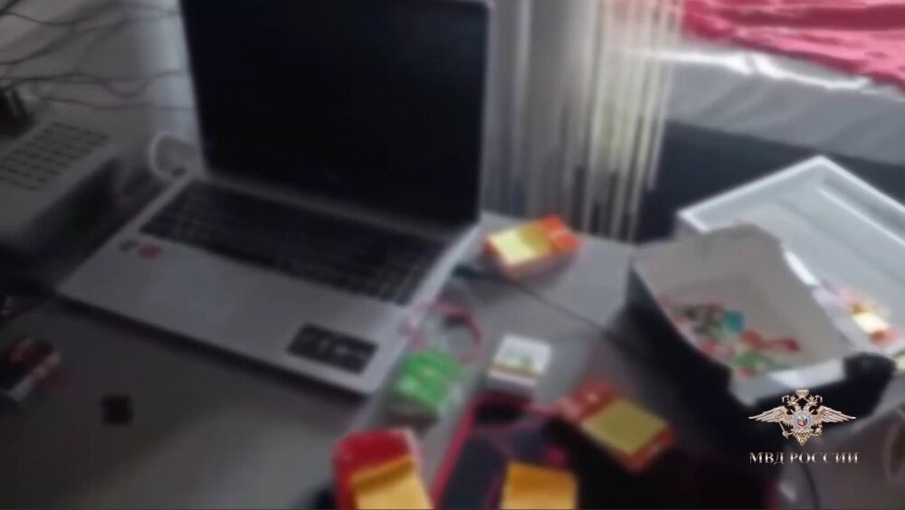    Фото: Пресс-служба ГУ МВД России по Петербургу и Ленобласти/ Скриншот видео