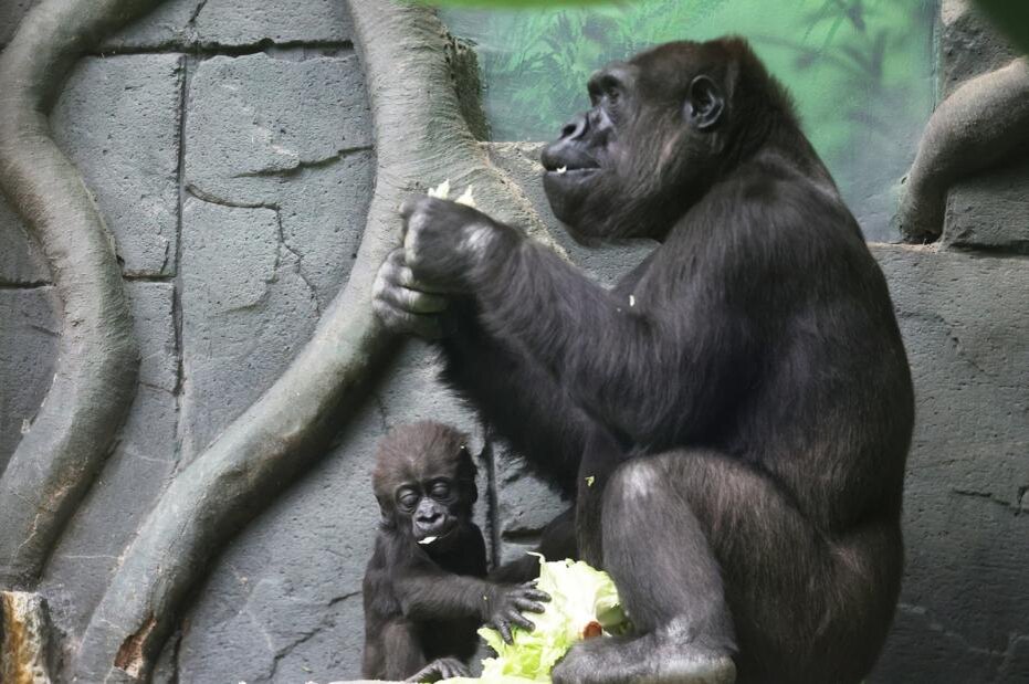    Наталья Шатохина/NEWS.ru