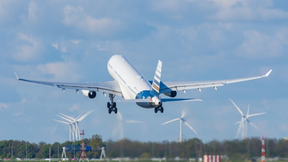     Фото: Minh K Tran/Shutterstock/FOTODOM