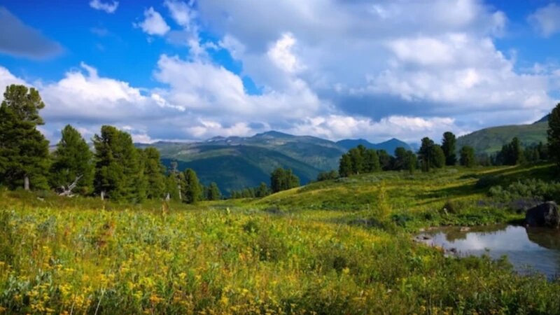     Природа. ru.freepik.com, автор bearfotos