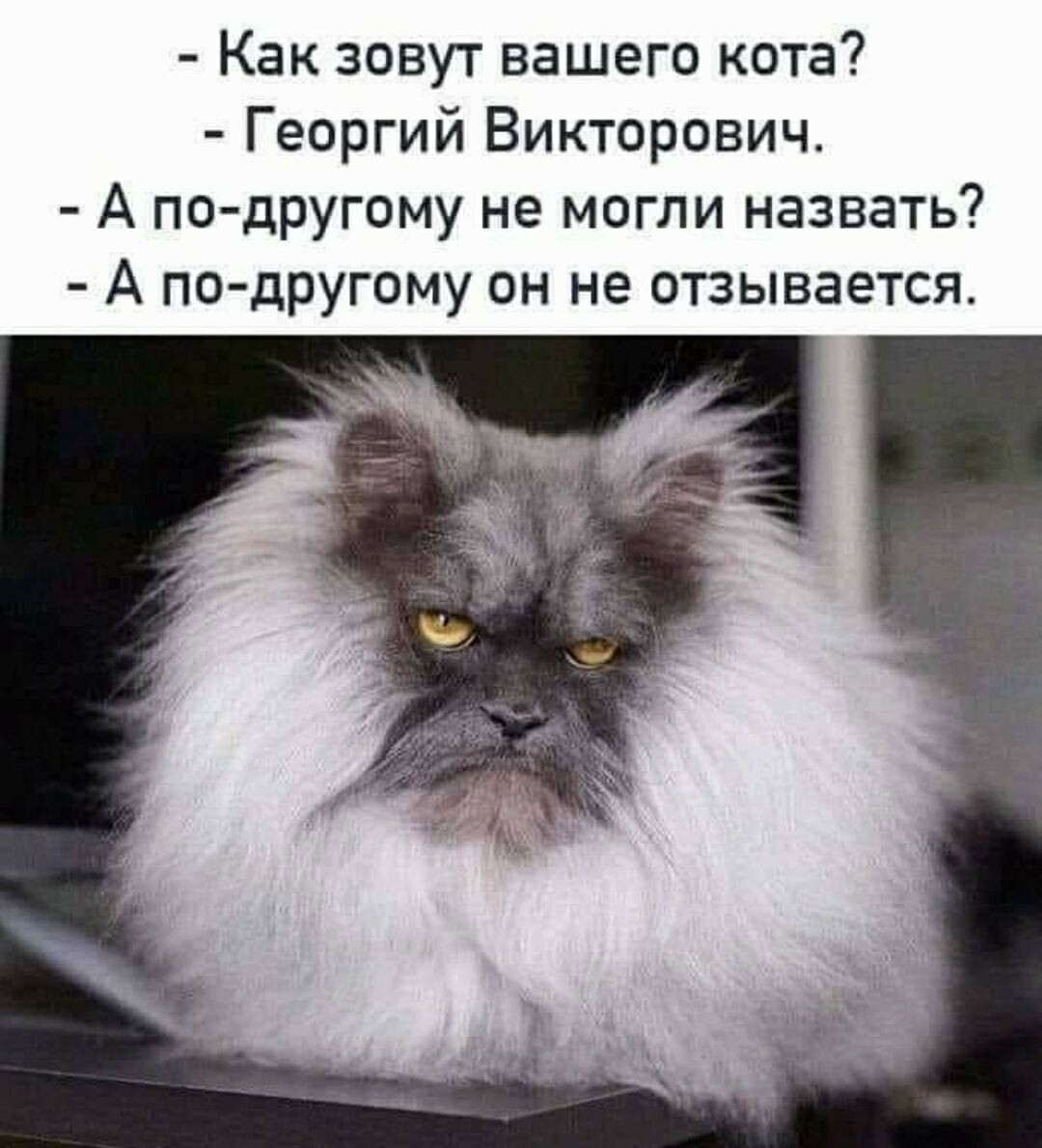 источник Яндекс-картинки