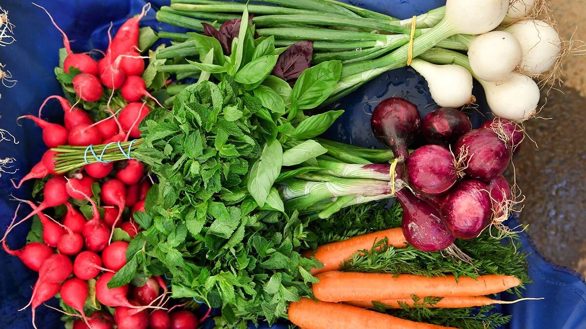    Фото: Сергей Киселев / АГН Москва