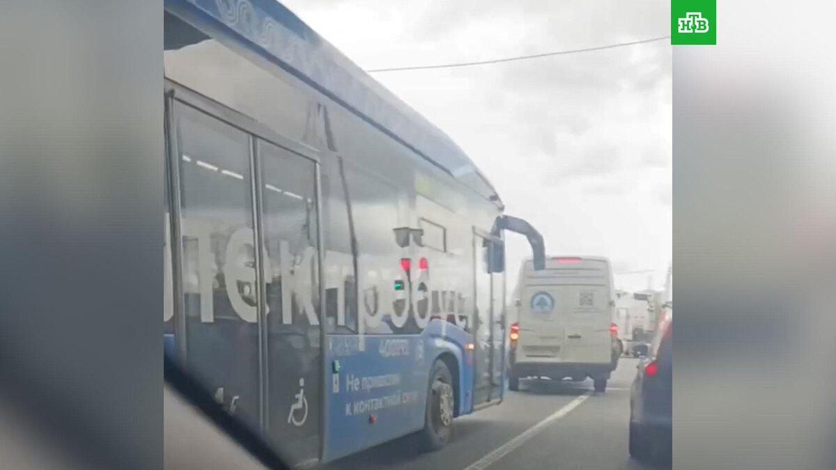    Фото: troitsk_city / t.me