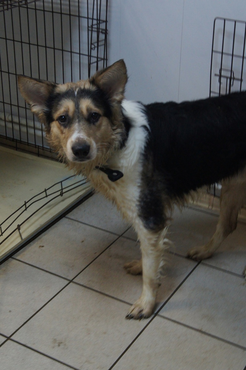 Его жизнь спасли, но сердце так и не смогли исцелить...