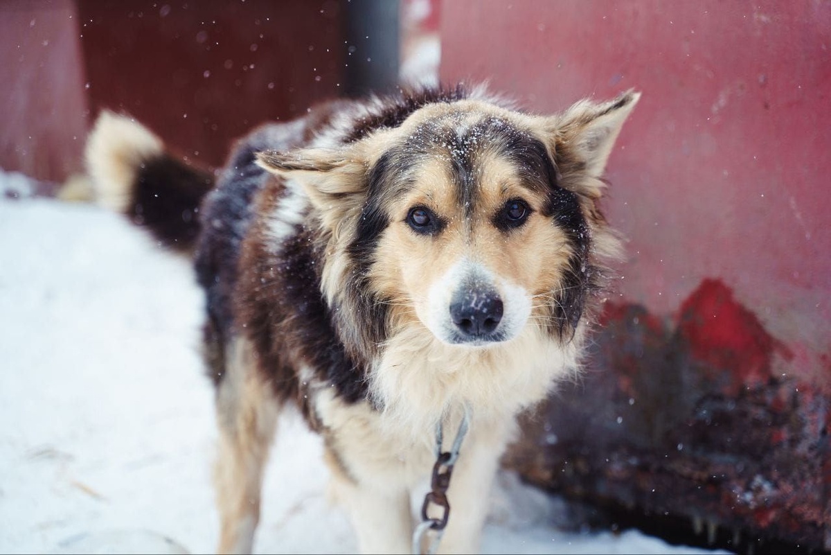 Рэй жил под ванной, испытвая жуткий страх...