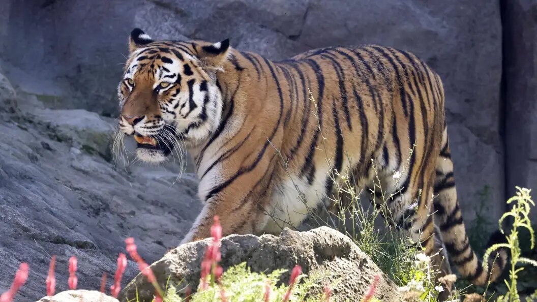    Фото: IMAGO/www.imago-images.de/Globallookpress