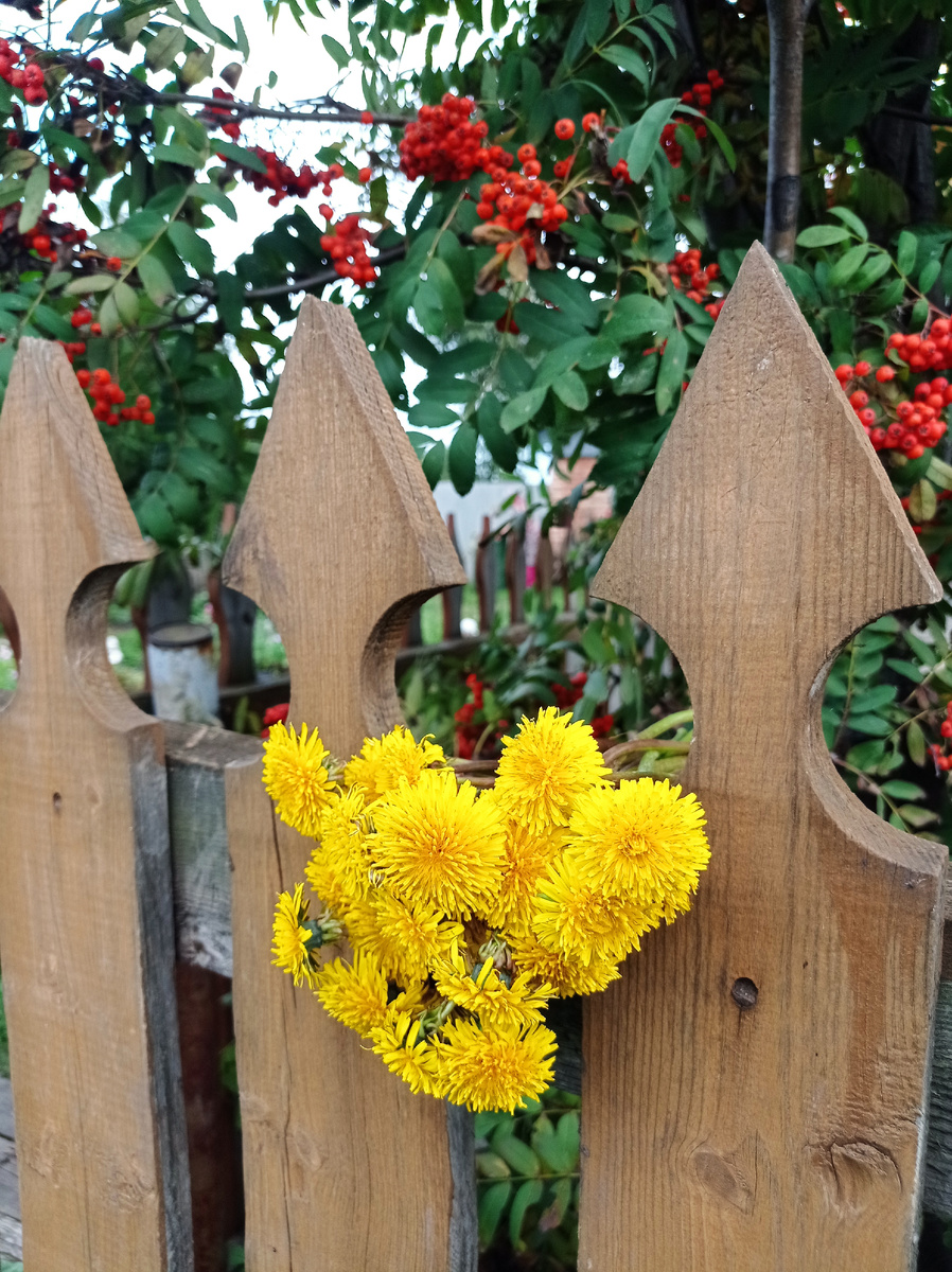 Забор украшен мной) 