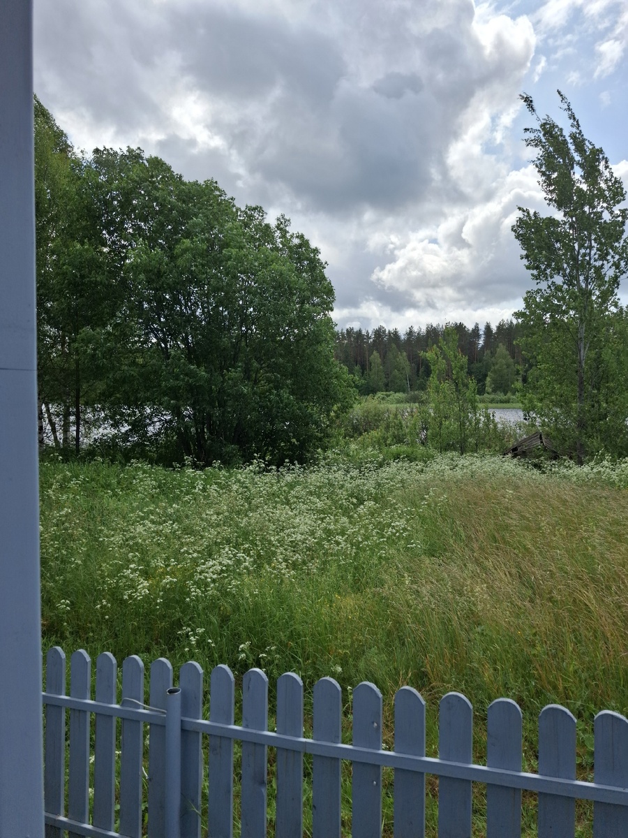 Но я люблю эти виды и просторы