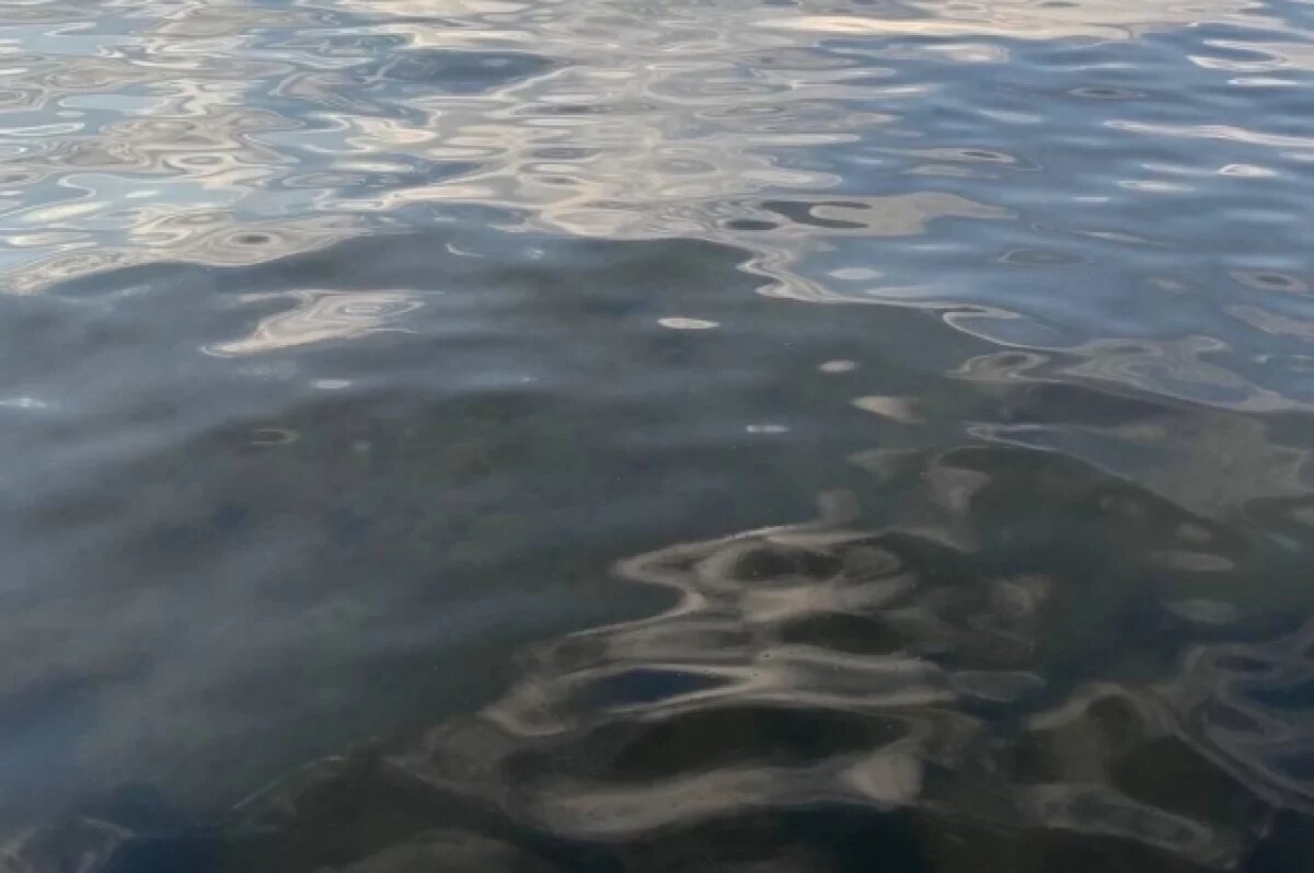    В подтопленном селе под Угличем возьмут пробы воды