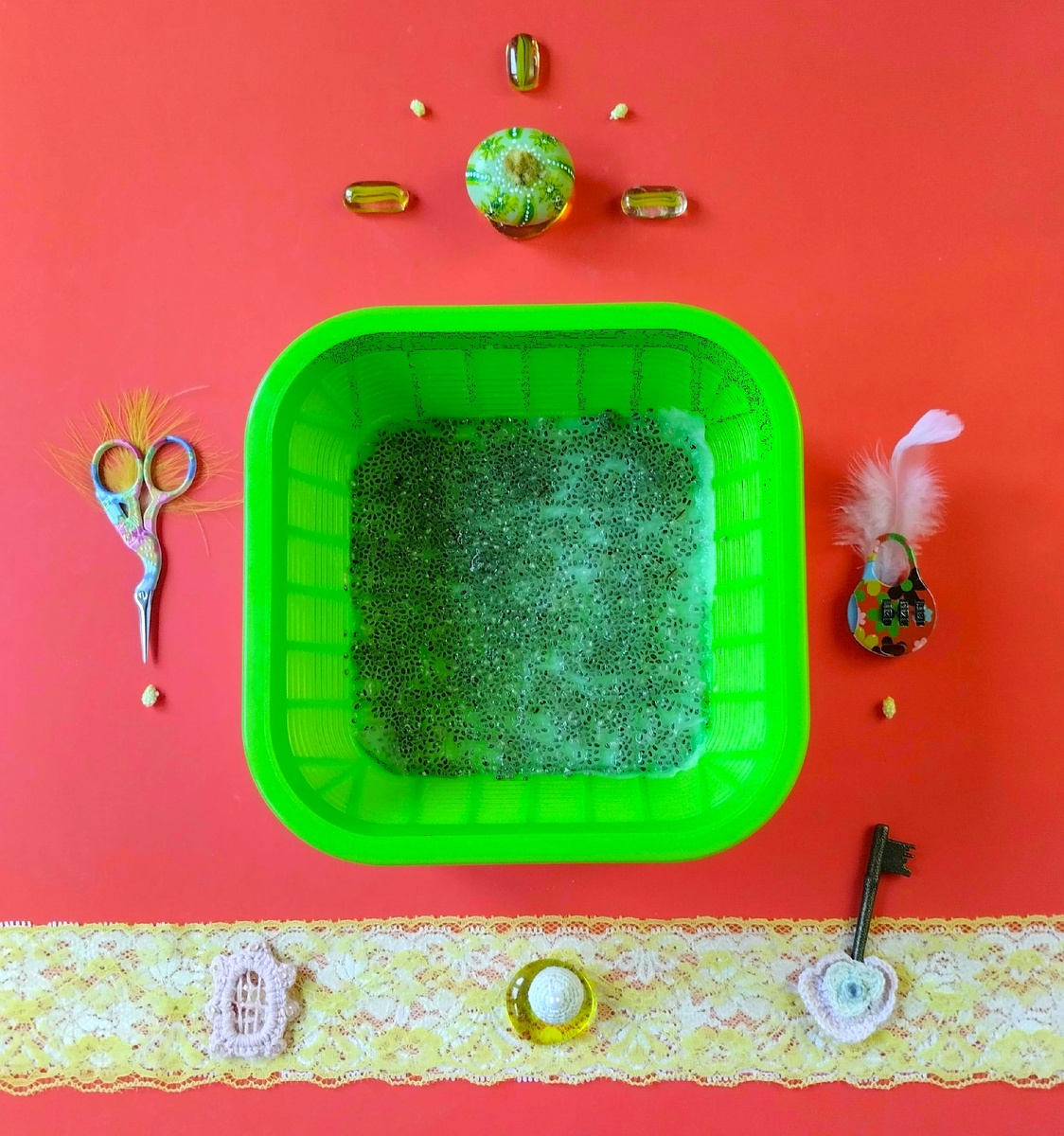 Семена чиа положила на салфетку, так как они слишком малы.