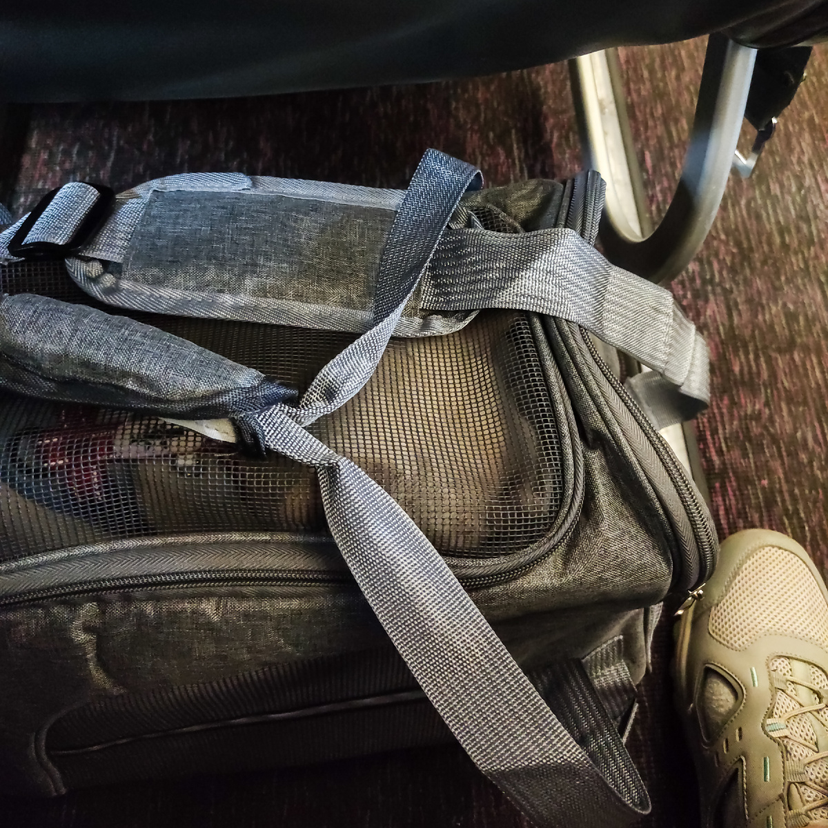 Требования к размеру переноски обусловлены размером свободного пространства под сиденьем предыдущего ряда. Поэтому мягкая переноска лучше пластика - ее при необходимости можно слегка примять