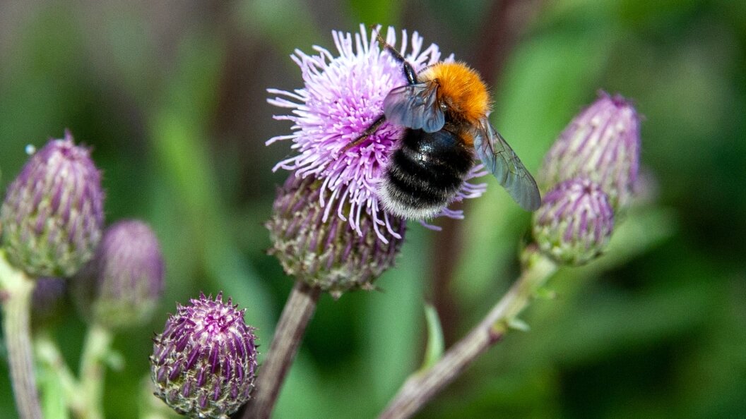    Svetlana Vozmilova/Global Look Press