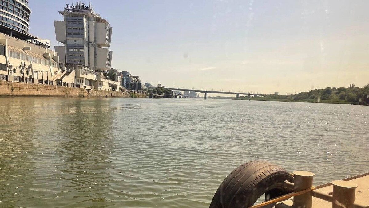     Источник: rostovgazeta.ru