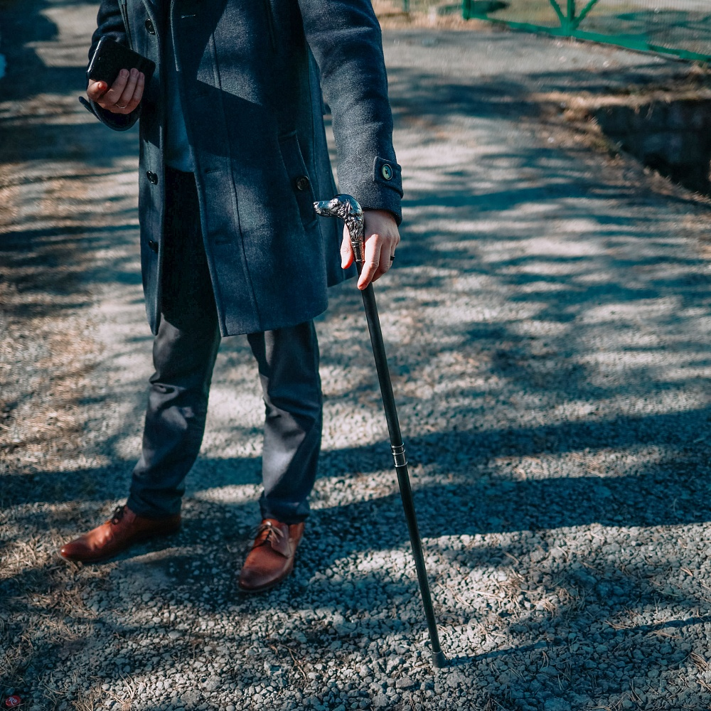 Трость с клинком "Литой Спаниель"