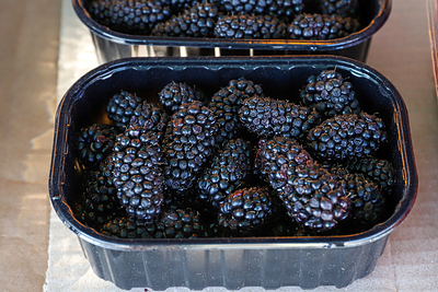 ФОТО: Razmik Zackaryan/URA.RU/Global Look Press