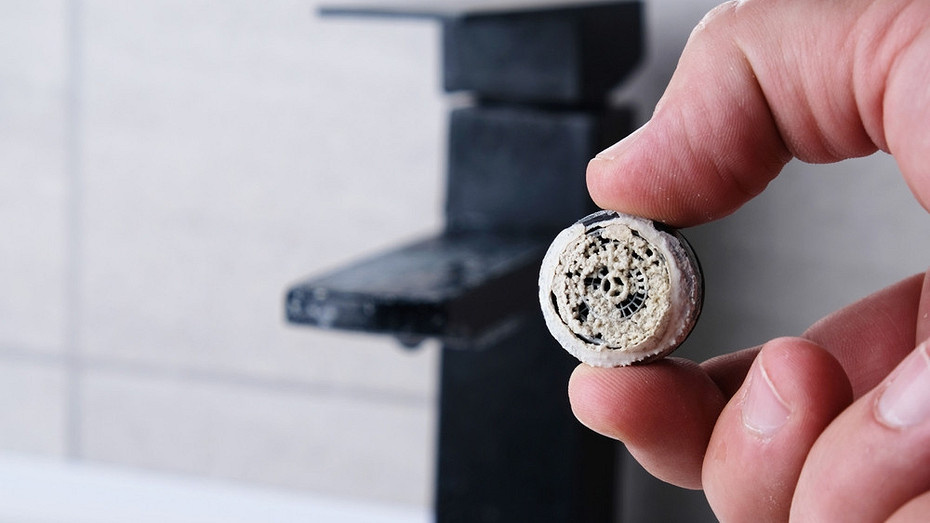 Здесь и далее: ShutterStock/Fotodom.ru