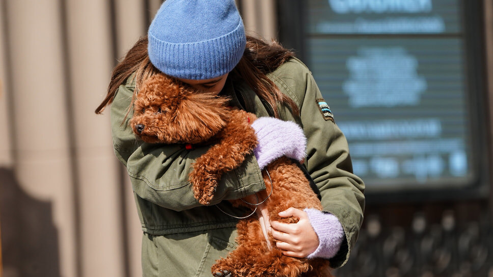 Фото: Пелагия Тихонова / Коммерсантъ