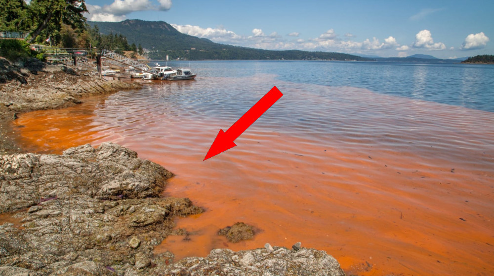    Кровавые реки необъяснимых явлений