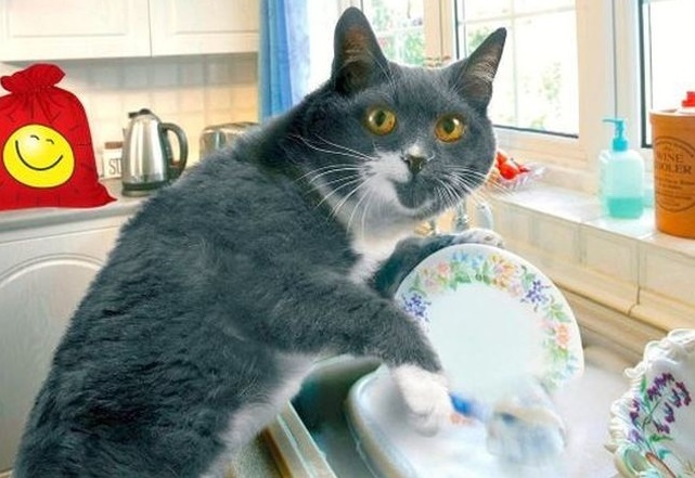 Картинки Яндекс