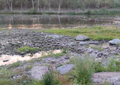 Фотография из личного архива автора