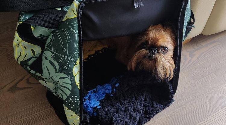 Фото: Маргарита Хохлова