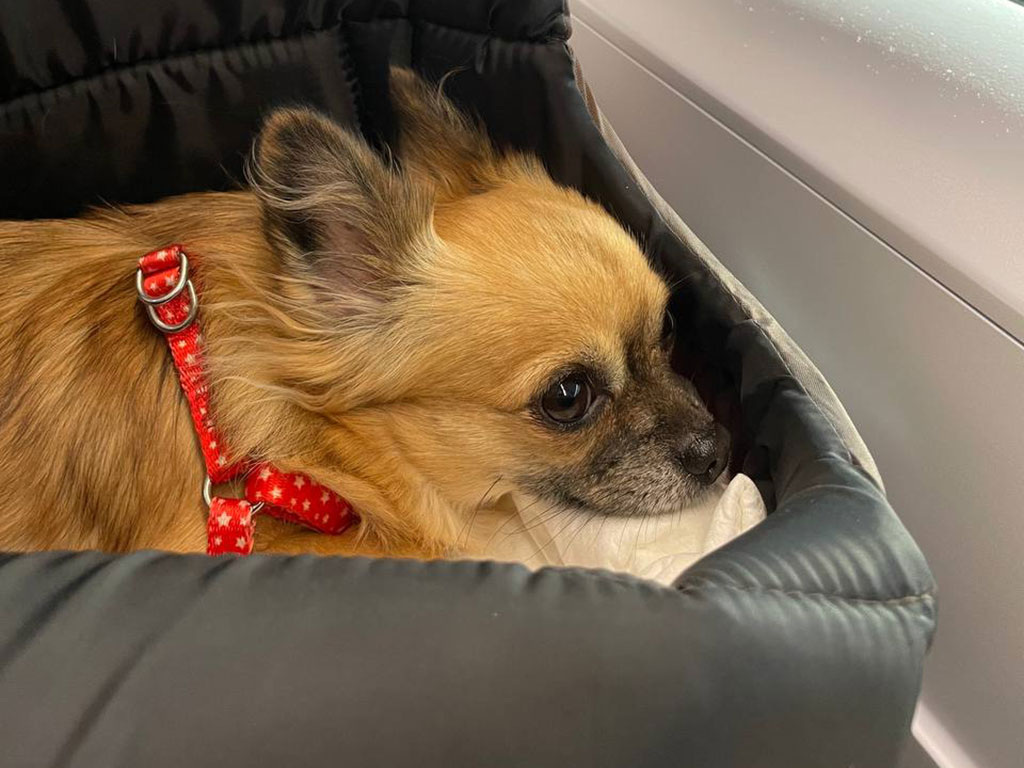 Фото: Марина Наумова