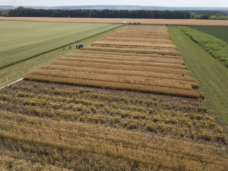    Фото: Правительство Республики Башкортостан
