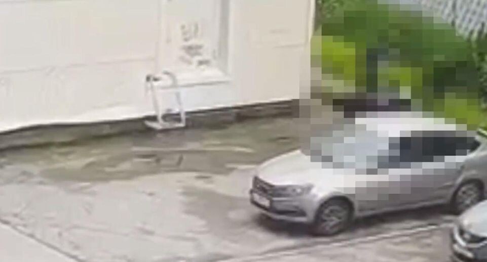 Семью 13-летнего азербайджанца выдворили из России после драки с соседом