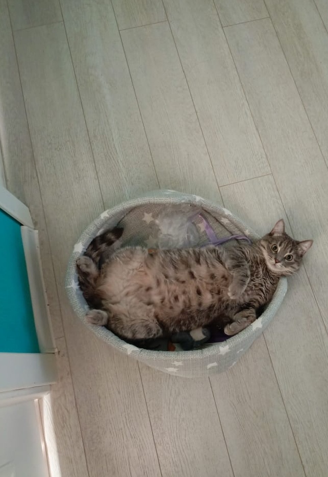 Фото автора. Немного не вместился.