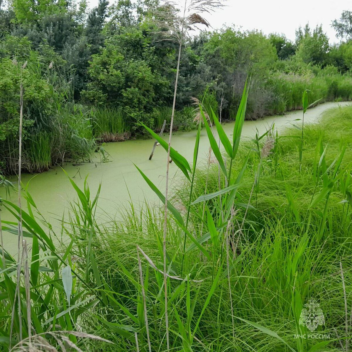 Фото: ГУ МЧС России по РТ