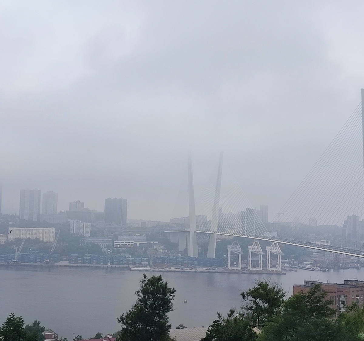 Золотой рог. Фото автора.