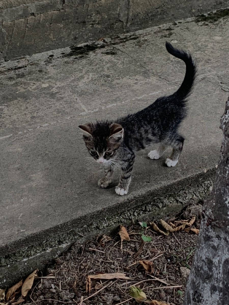 *фотография не моя.