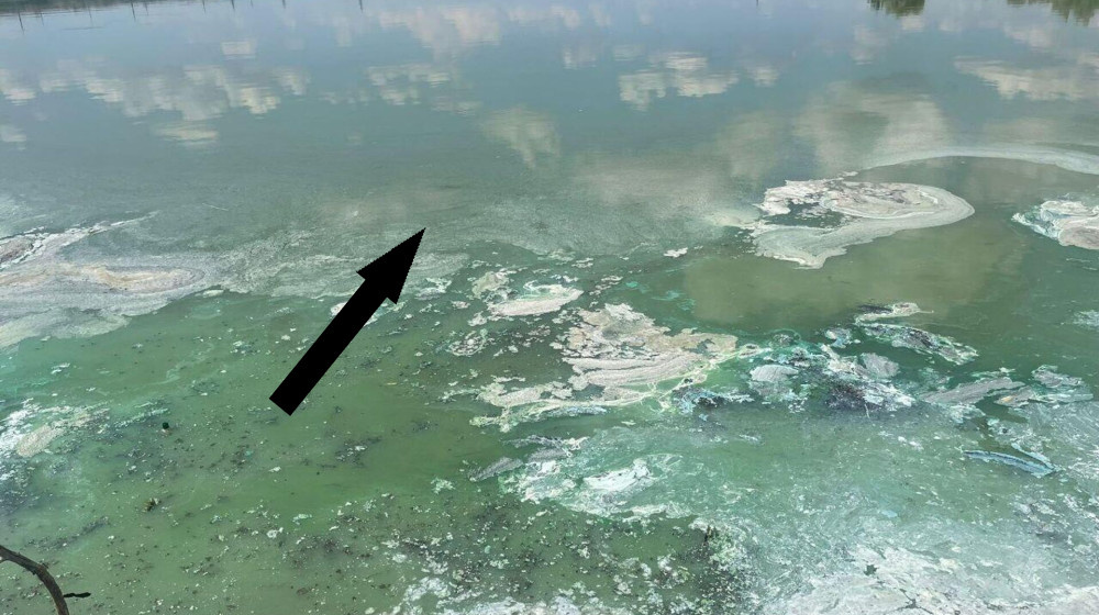    Загадка смертельных водоемов Кто и почему исчезает в озерах-убийцах