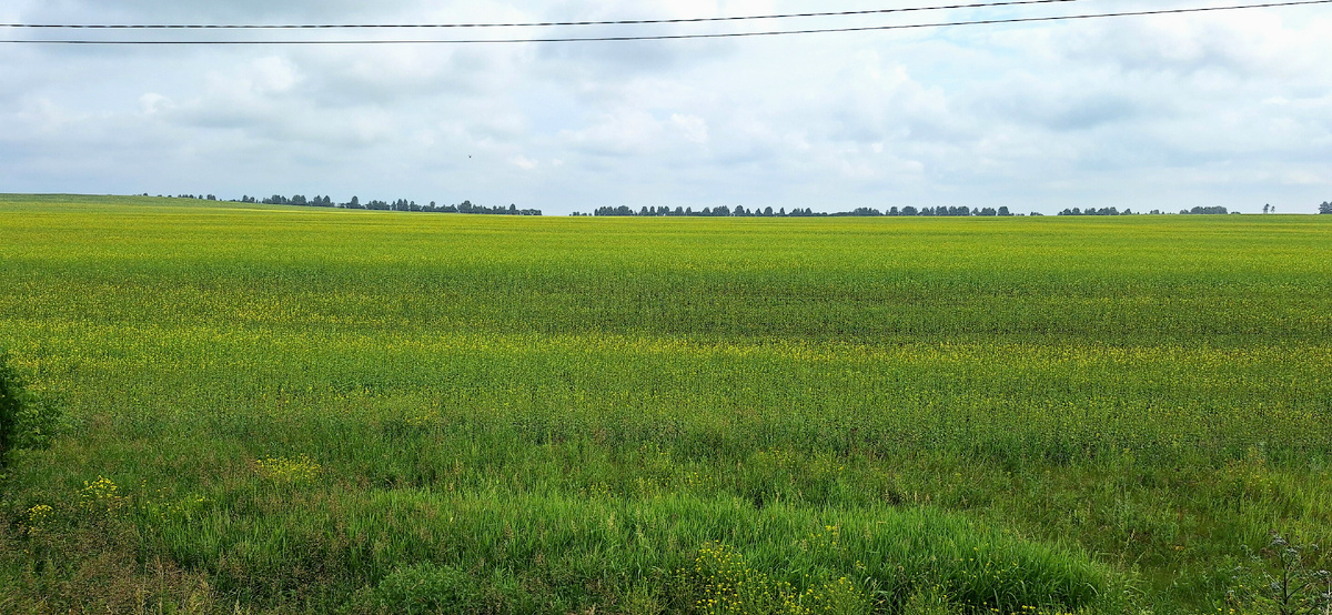 город Сатка