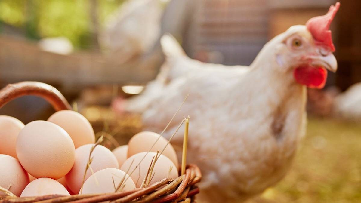    Фото: Shutterstock