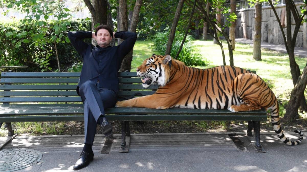    Народный артист России Эдгард Запашный во дворе Большого Московского цирка с тигром по кличке Рикки / Фото: Екатерина Чеснокова / РИА НОВОСТИ