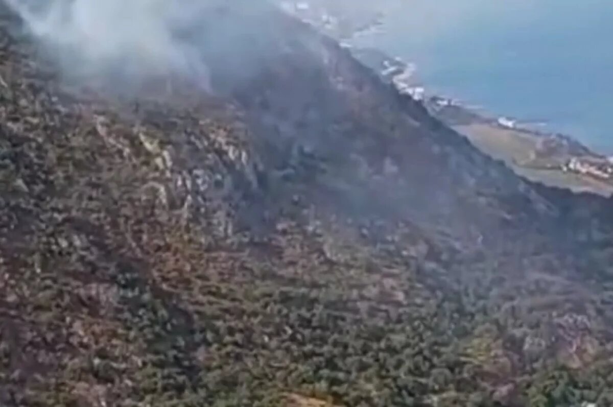    Пожар на площади 8,1 га на горе Кастель под Алуштой потушили