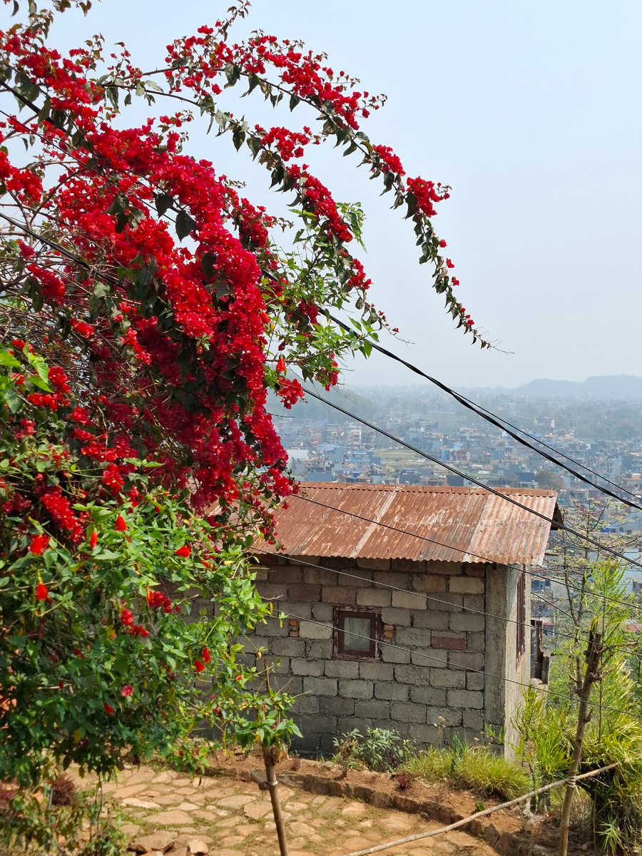 Гуляем по Покхаре, ищем Тибетскую деревню. Фото автора