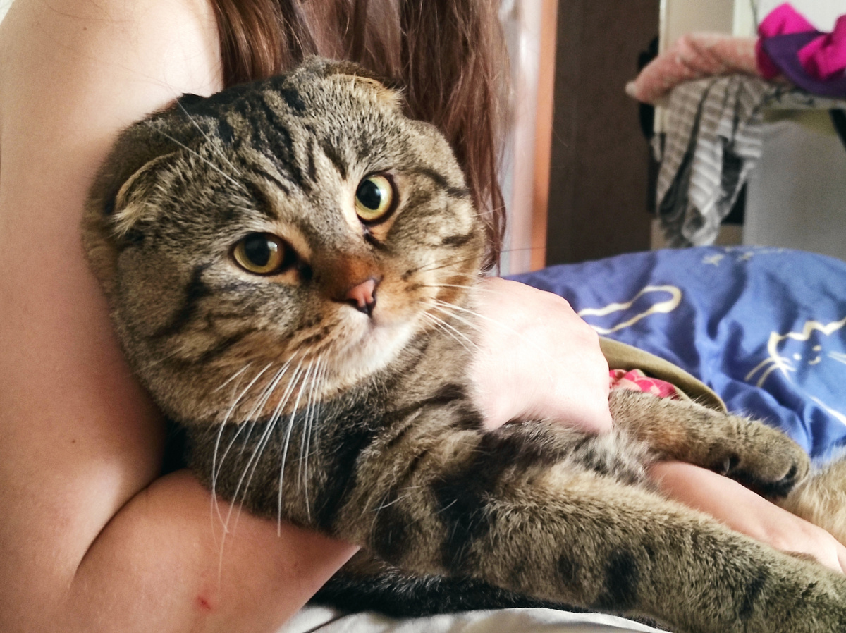 Эти люди вообще ничего не понимают 