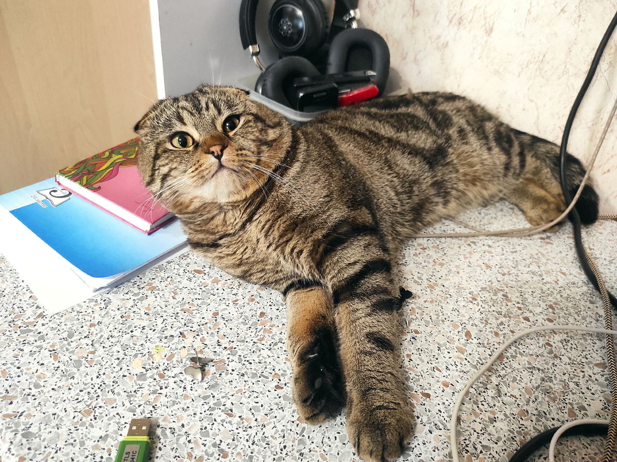 Что? Зачем? О чём это вы?